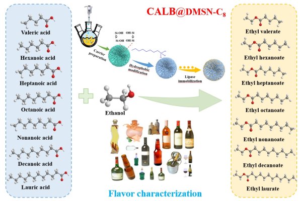 水果优配 新研究成果实现食品特征风味酯绿色高效制备