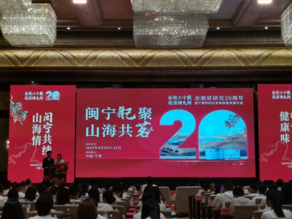 财汇盈 宁夏枸杞红茶高质量发展大会举办