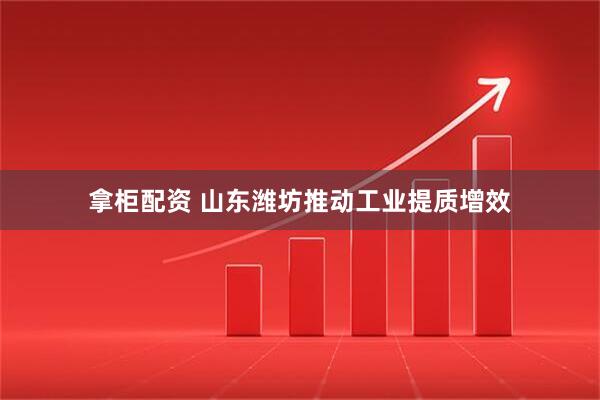 拿柜配资 山东潍坊推动工业提质增效