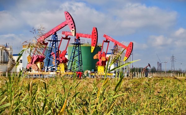 易宝配资 上扬“第二曲线”，再创大庆新荣光